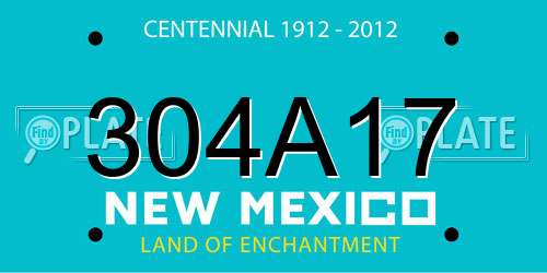 304A17 New Mexico License Plate