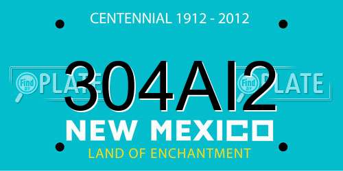 304AI2 New Mexico License Plate