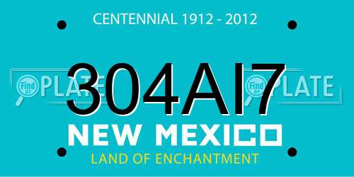 304AI7 New Mexico License Plate