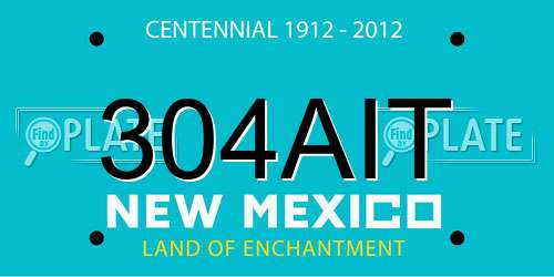 304AIT New Mexico License Plate