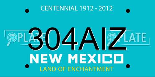 304AIZ New Mexico License Plate