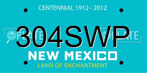 304SWP New Mexico License Plate