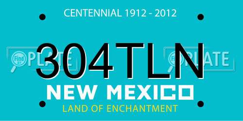 304TLN New Mexico License Plate