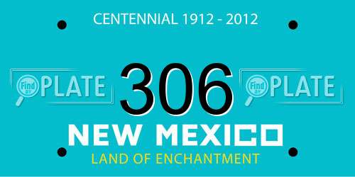 306 New Mexico License Plate