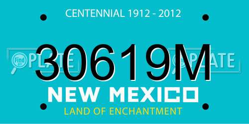 30619M New Mexico License Plate