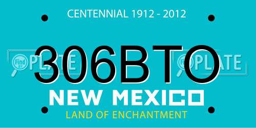 306BTO New Mexico License Plate