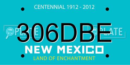 306DBE New Mexico License Plate