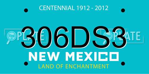 306DS3 New Mexico License Plate
