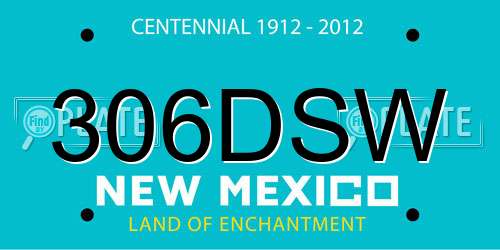 306DSW New Mexico License Plate