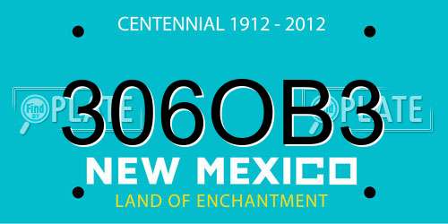 306OB3 New Mexico License Plate