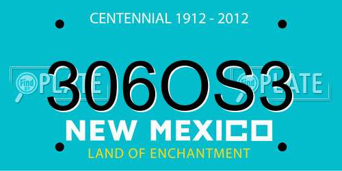 306OS3 New Mexico License Plate
