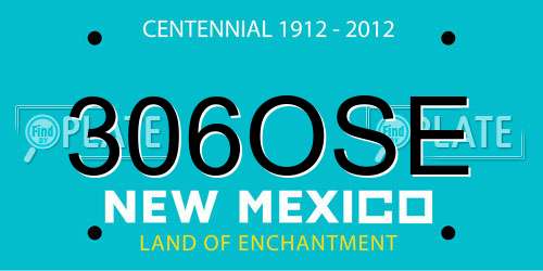 306OSE New Mexico License Plate