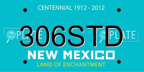 306STD New Mexico License Plate