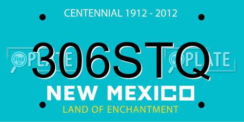 306STQ New Mexico License Plate