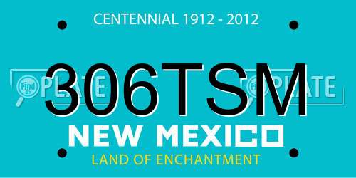 306TSM New Mexico License Plate