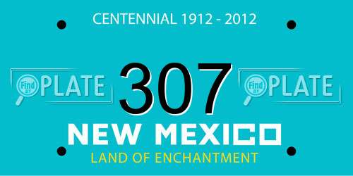 307 New Mexico License Plate