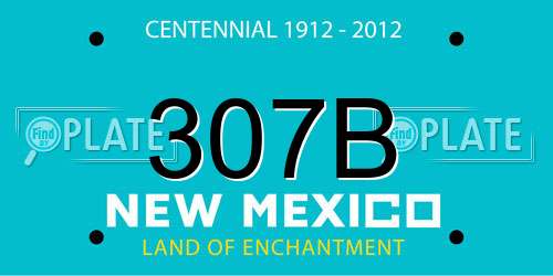 307B New Mexico License Plate