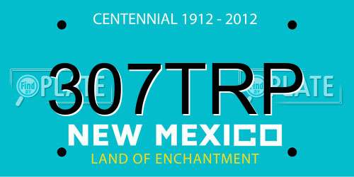 307TRP New Mexico License Plate