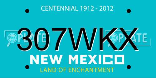 307WKX New Mexico License Plate