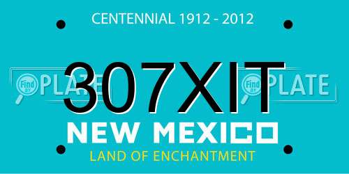 307XIT New Mexico License Plate