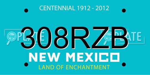 308RZB New Mexico License Plate
