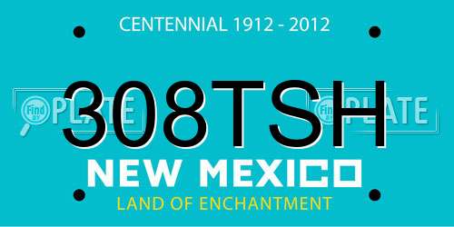 308TSH New Mexico License Plate