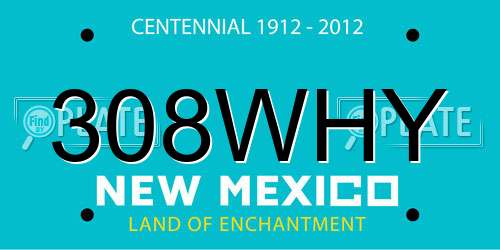 308WHY New Mexico License Plate