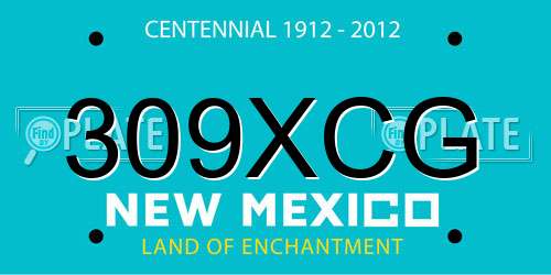 309XCG New Mexico License Plate