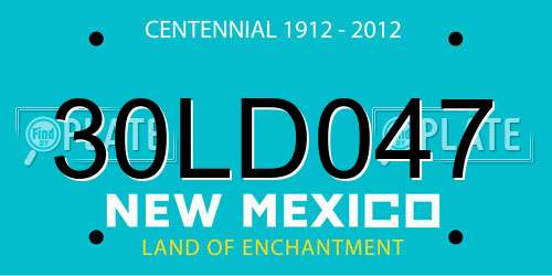 30LD047 New Mexico License Plate