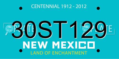 30ST129 New Mexico License Plate