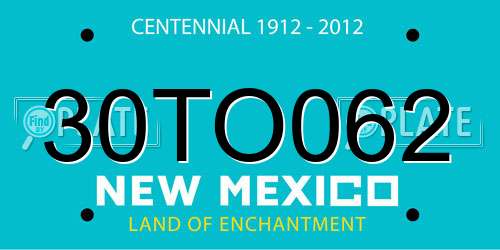 30TO062 New Mexico License Plate