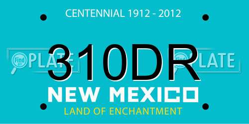 310DR New Mexico License Plate