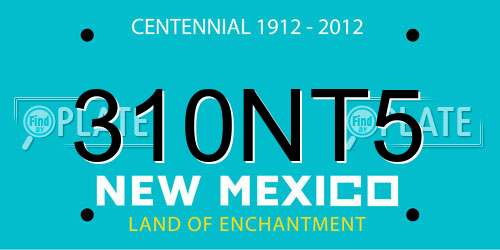 310NT5 New Mexico License Plate