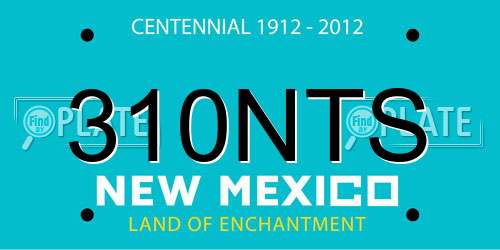 310NTS New Mexico License Plate