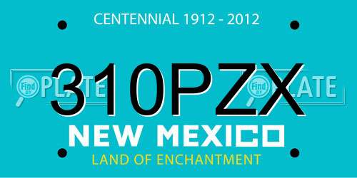 310PZX New Mexico License Plate