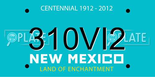 310VI2 New Mexico License Plate