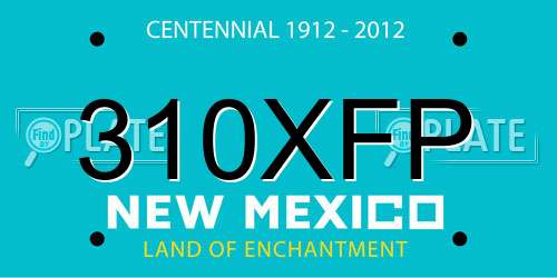 310XFP New Mexico License Plate