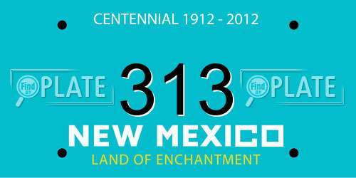 313 New Mexico License Plate