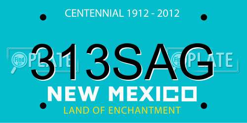 313SAG New Mexico License Plate