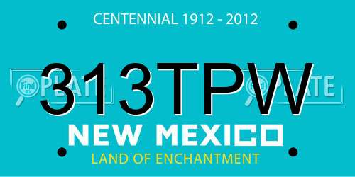 313TPW New Mexico License Plate