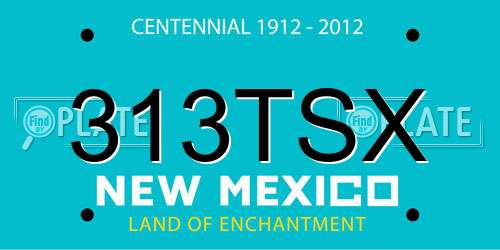 313TSX New Mexico License Plate