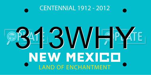 313WHY New Mexico License Plate