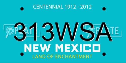 313WSA New Mexico License Plate