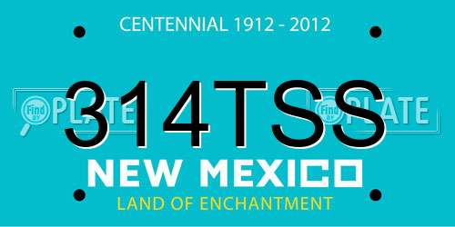 314TSS New Mexico License Plate