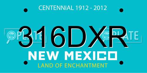 316DXR New Mexico License Plate