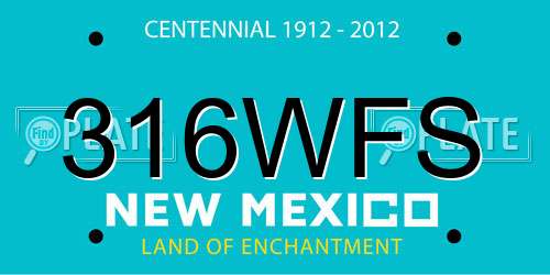 316WFS New Mexico License Plate