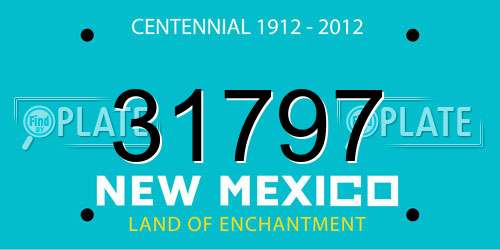 31797 New Mexico License Plate