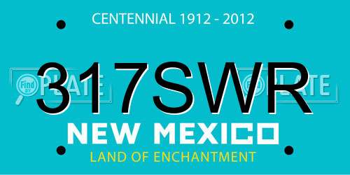 317SWR New Mexico License Plate