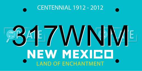 317WNM New Mexico License Plate
