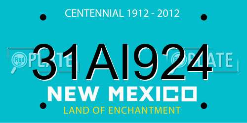 31AI924 New Mexico License Plate